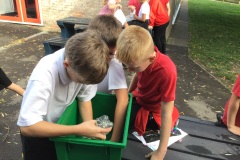 Year 5 Science Oct 2022